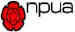National Programme Umpires Association